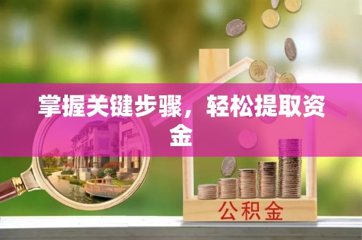 菏泽掌握关键步骤，轻松提取资金