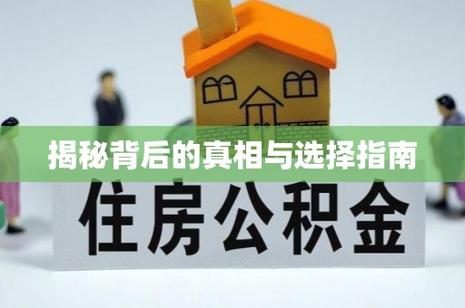 菏泽揭秘背后的真相与选择指南