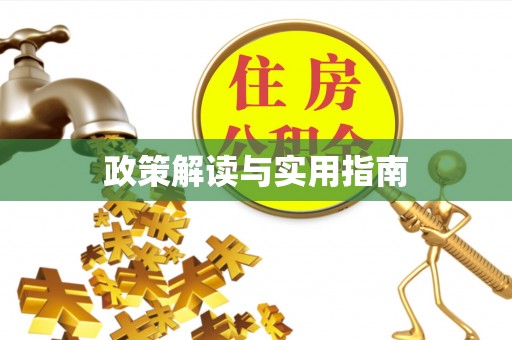 菏泽政策解读与实用指南