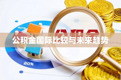 菏泽公积金国际比较与未来趋势