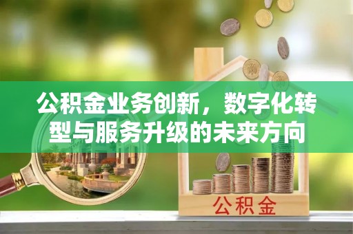 菏泽公积金业务创新，数字化转型与服务升级的未来方向