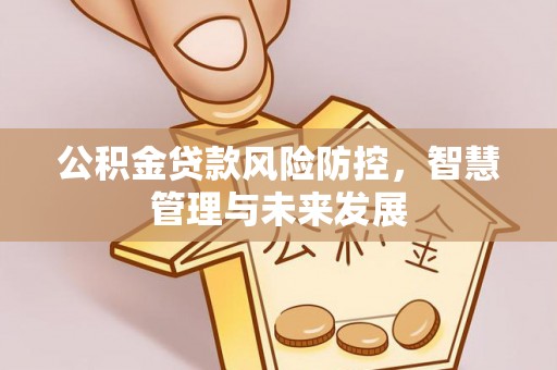 菏泽公积金贷款风险防控，智慧管理与未来发展