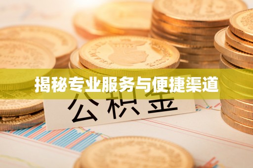 菏泽揭秘专业服务与便捷渠道