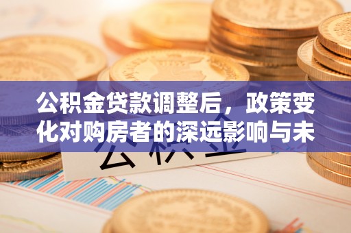 菏泽公积金贷款调整后，政策变化对购房者的深远影响与未来趋势分析