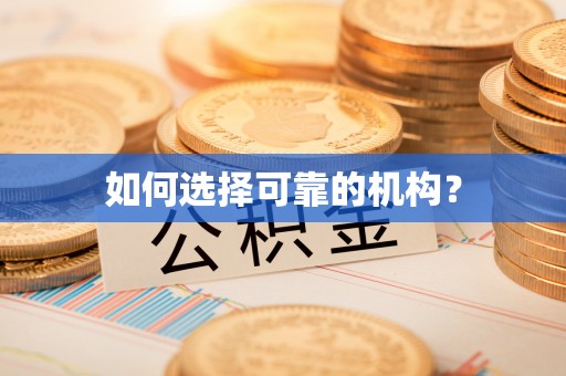 菏泽如何选择可靠的机构？