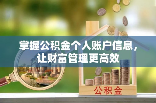 菏泽掌握公积金个人账户信息，让财富管理更高效