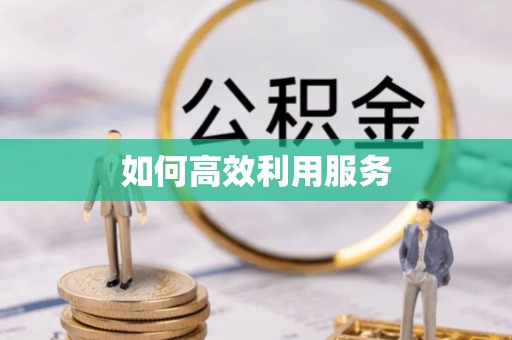 菏泽如何高效利用服务
