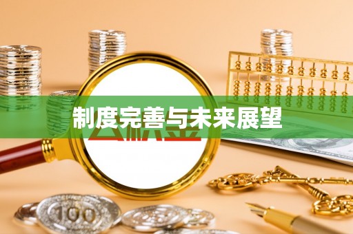 菏泽制度完善与未来展望