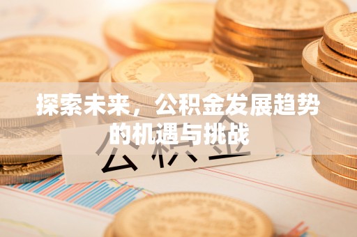 菏泽探索未来，公积金发展趋势的机遇与挑战