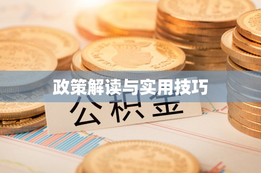 菏泽政策解读与实用技巧