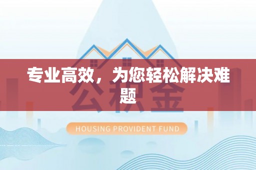 菏泽专业高效，为您轻松解决难题