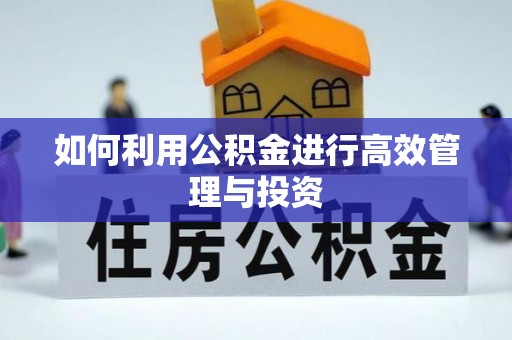 菏泽如何利用公积金进行高效管理与投资