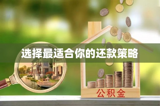 菏泽选择最适合你的还款策略