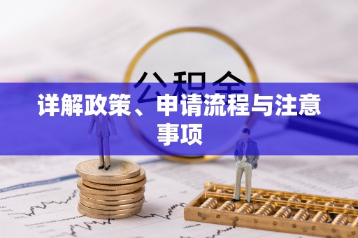 菏泽详解政策、申请流程与注意事项